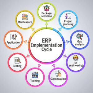 The Life Cycle of an ERP